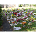Garden of Rembrance 
