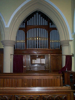 Organ Large.jpg