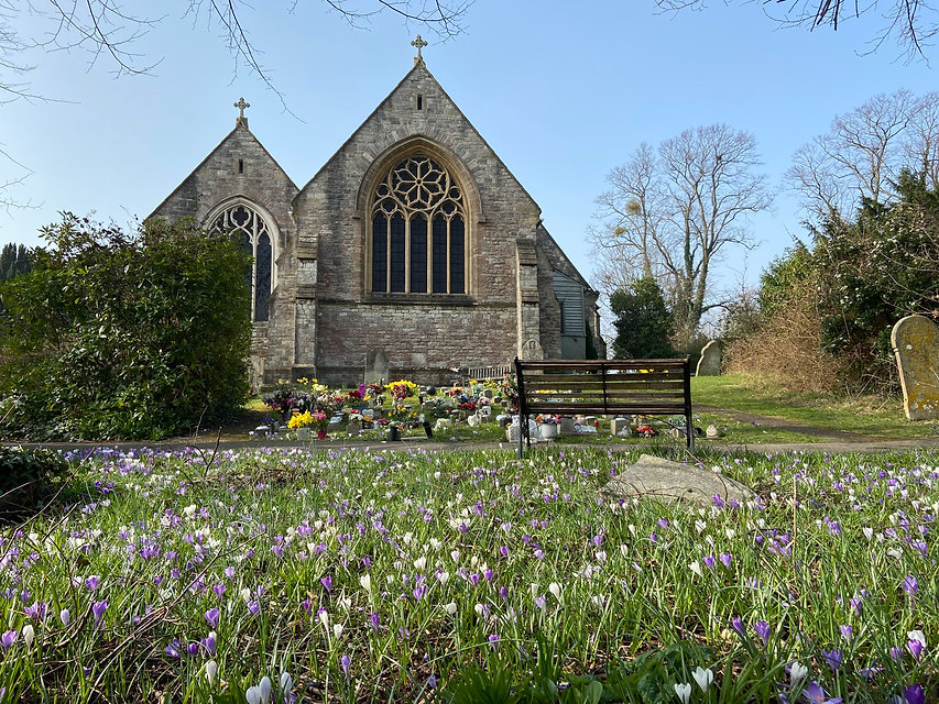 Crocii.JPG
