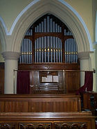 Organ Large.jpg